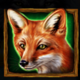 wolf fang supermoon fox symbol