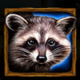 wolf fang supermoon racoon symbol