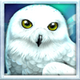 wolf fang the polar lights owl symbol