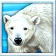wolf fang the polar lights polar bear symbol