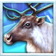 wolf fang the polar lights reindeer symbol