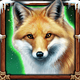 wolf fang the wild snow fox symbol