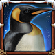 wolf fang the wild snow pinguin symbol