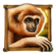 wolf fang treasure island monkey symbol