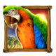 wolf fang treasure island parrot symbol