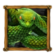 wolf fang treasure island snake symbol