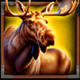 wolf fang valhalla rising deer symbol