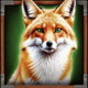 wolf fang valhalla rising fox symbol
