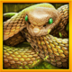 wolf fang volcano snake symbol