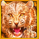 wolf fang volcano tiger symbol