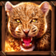 wolf fang western tales 2 symbol