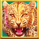 wolf fang winter storm tiger symbol