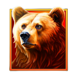 wolf thunder symbol 1