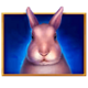 wolfs moon 3 rabbit symbol