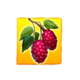 wood luck raspberry symbol