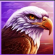 young buffalo song eagle symbol