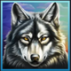young buffalo song wolf symbol