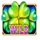 27 eternal hot wild symbol