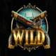 age of pirates wild symbol