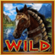 amazons battle wild symbol