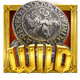 aus dem tal coin wild symbol