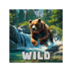 bear spirit bounty wild symbol