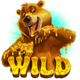 beary wild wild symbol