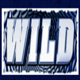 beetlejuice megaways wild symbol