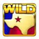black gold wheel of riches wild1 symbol