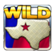 black gold wheel of riches wild2 symbol
