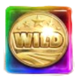 bonanza falls wild symbol