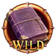 book of thermopylae wild book symbol