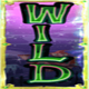 bubble bubble 2 wild 1 symbol