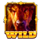 buffalo hold and hit symbol wild