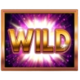 cash free spins fortune edition wild symbol