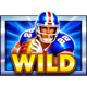 champions night hold and win wild symbol
