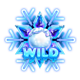 crazy gems christmas wil.d symbol