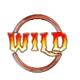 devils jackpot wild symbol