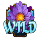 diamond heat bengals treasures symbol wild