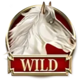 divine fortune gold wild symbol