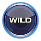 drive multiplier mayhem powerpoints wild symbol