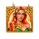 druids fortune fairy wild symbol