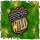 duck hunters 2 wild symbol1