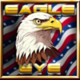 eagle eye wild symbol
