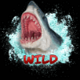 extreme fishing wild symbol