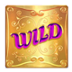 fairy gate wild symbol