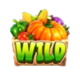 farmstead fortune wild symbol
