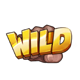 fighter pit wild 1 symbol