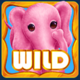 fluffy favourites cash collect wild symbol
