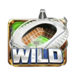 football 2026 wild symbol